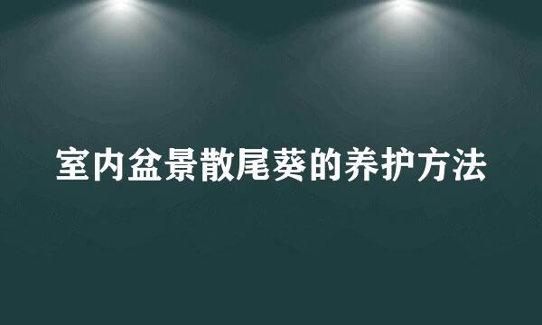 室内盆景散尾葵的养护方法