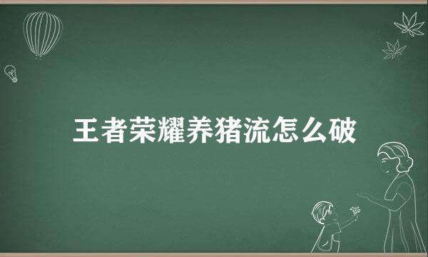 王者荣耀养猪流怎么破