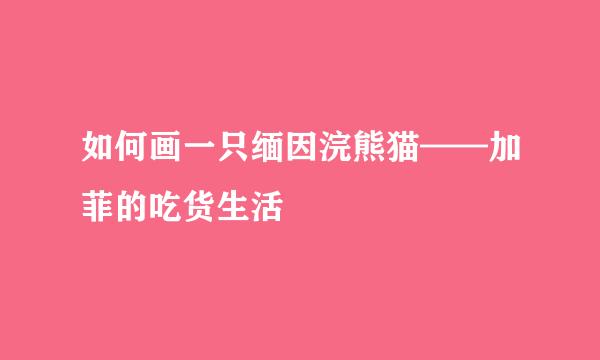 如何画一只缅因浣熊猫——加菲的吃货生活