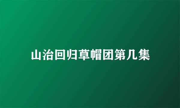 山治回归草帽团第几集
