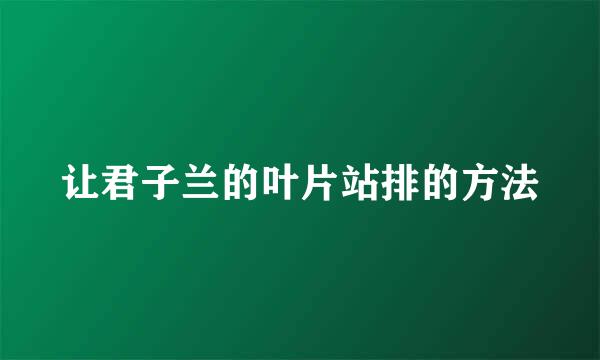 让君子兰的叶片站排的方法