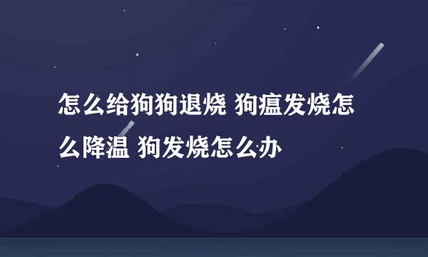 怎么给狗狗退烧 狗瘟发烧怎么降温 狗发烧怎么办