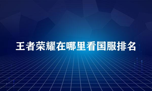 王者荣耀在哪里看国服排名