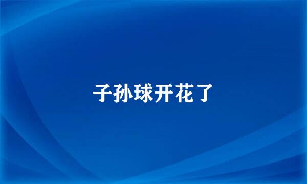 子孙球开花了