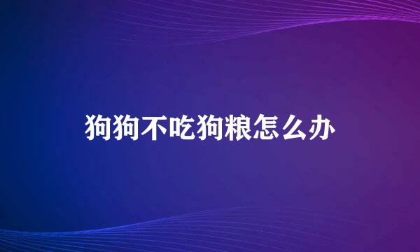 狗狗不吃狗粮怎么办