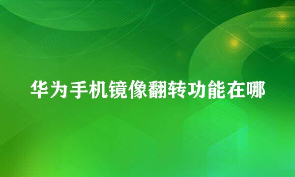 华为手机镜像翻转功能在哪