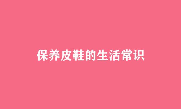 保养皮鞋的生活常识