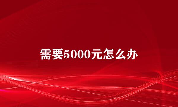 需要5000元怎么办