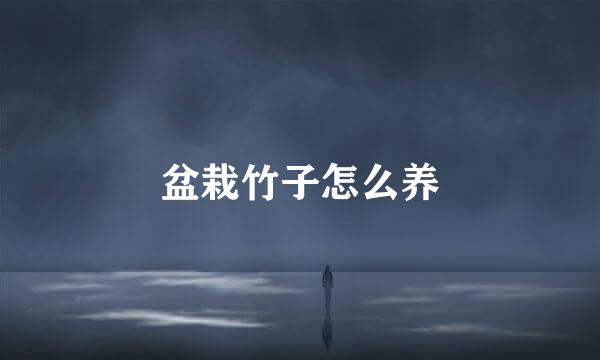 盆栽竹子怎么养