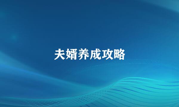 夫婿养成攻略