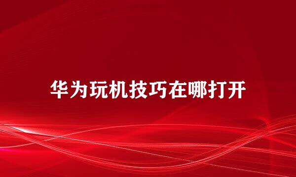 华为玩机技巧在哪打开