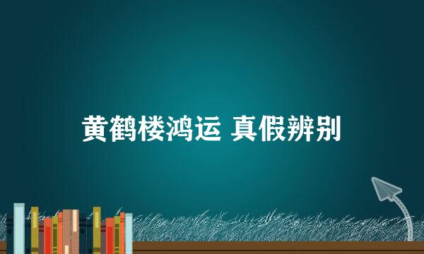 黄鹤楼鸿运 真假辨别