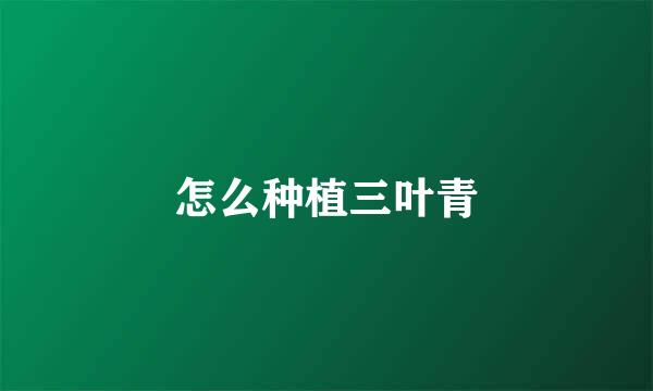 怎么种植三叶青