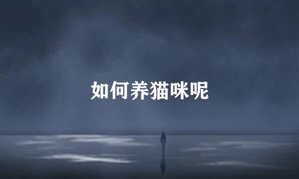 如何养猫咪呢