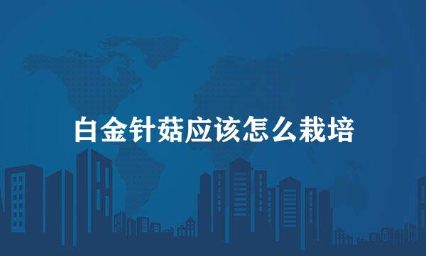 白金针菇应该怎么栽培