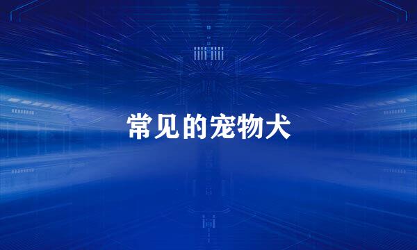 常见的宠物犬