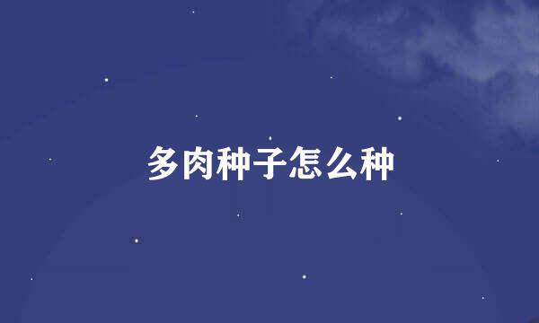 多肉种子怎么种