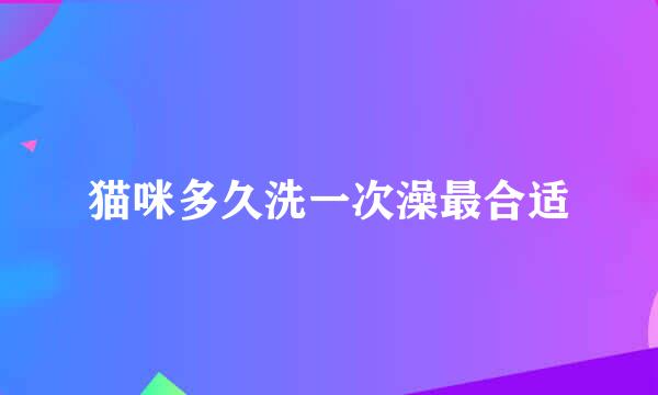 猫咪多久洗一次澡最合适