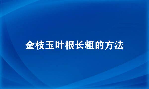 金枝玉叶根长粗的方法