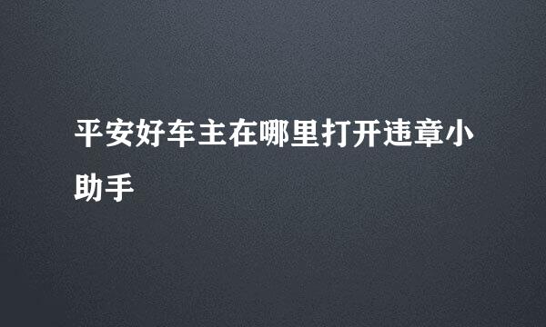平安好车主在哪里打开违章小助手