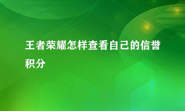 王者荣耀怎样查看自己的信誉积分