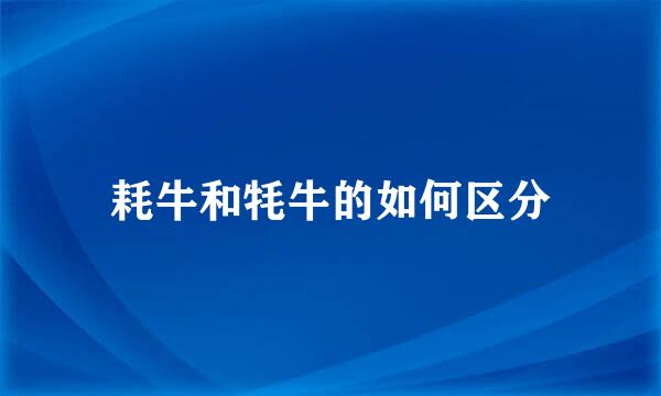 耗牛和牦牛的如何区分