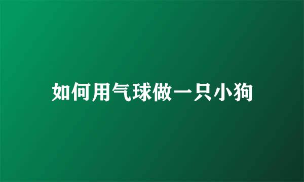 如何用气球做一只小狗