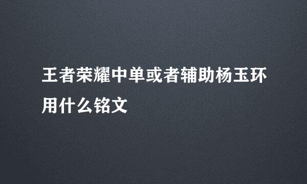 王者荣耀中单或者辅助杨玉环用什么铭文