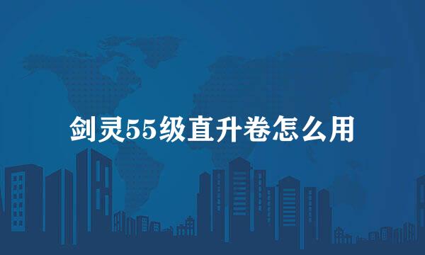 剑灵55级直升卷怎么用