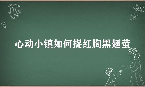 心动小镇如何捉红胸黑翅萤