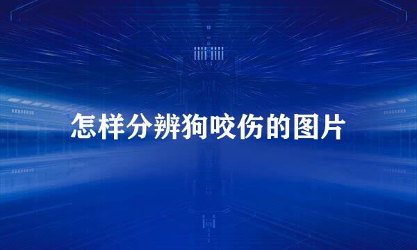 怎样分辨狗咬伤的图片