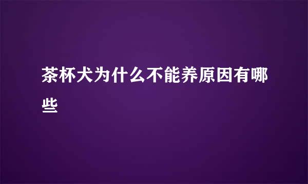 茶杯犬为什么不能养原因有哪些