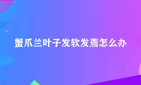 蟹爪兰叶子发软发蔫怎么办