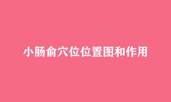 小肠俞穴位位置图和作用