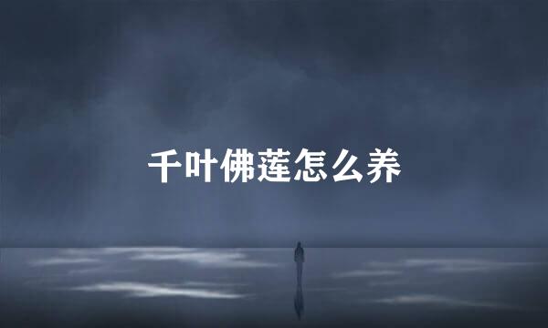 千叶佛莲怎么养