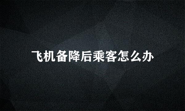 飞机备降后乘客怎么办