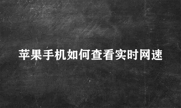 苹果手机如何查看实时网速