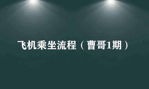飞机乘坐流程（曹哥1期）