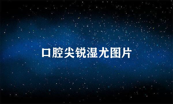 口腔尖锐湿尤图片