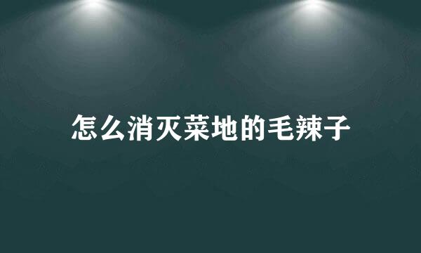 怎么消灭菜地的毛辣子