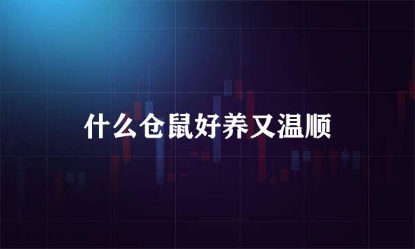 什么仓鼠好养又温顺