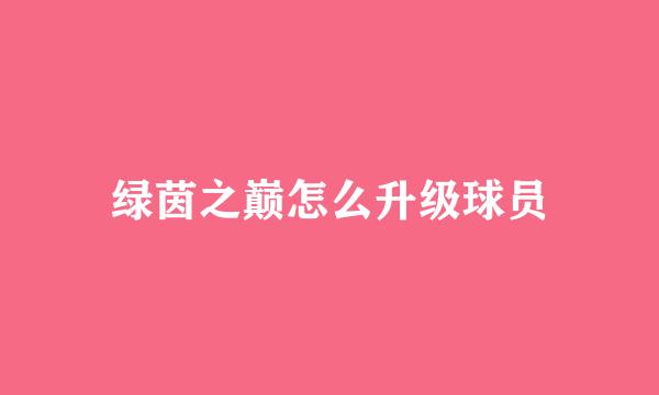 绿茵之巅怎么升级球员
