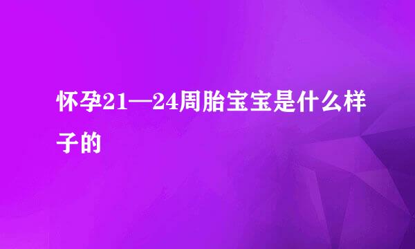 怀孕21—24周胎宝宝是什么样子的