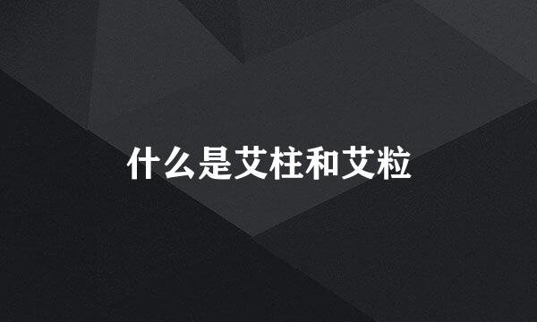什么是艾柱和艾粒