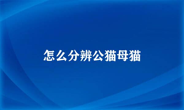 怎么分辨公猫母猫