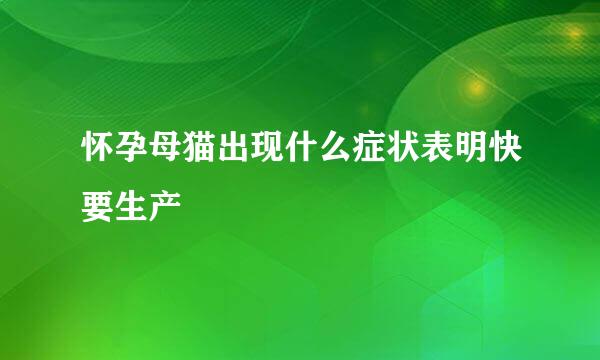 怀孕母猫出现什么症状表明快要生产