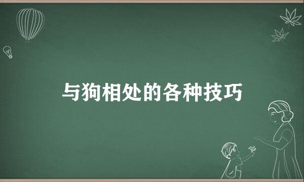 与狗相处的各种技巧