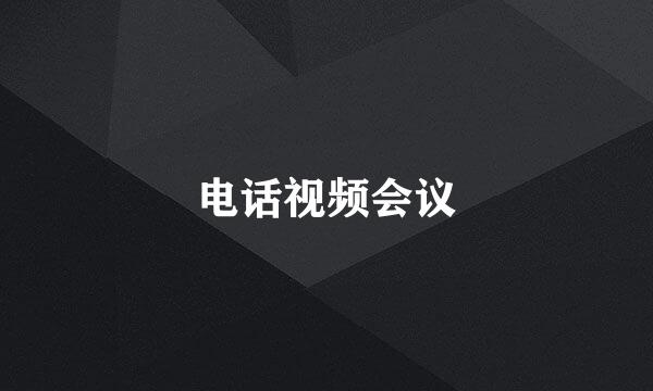 电话视频会议