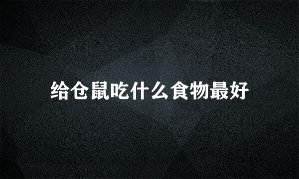 给仓鼠吃什么食物最好