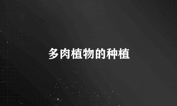多肉植物的种植